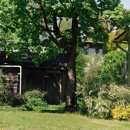 Cozy Summer Nest By The River *